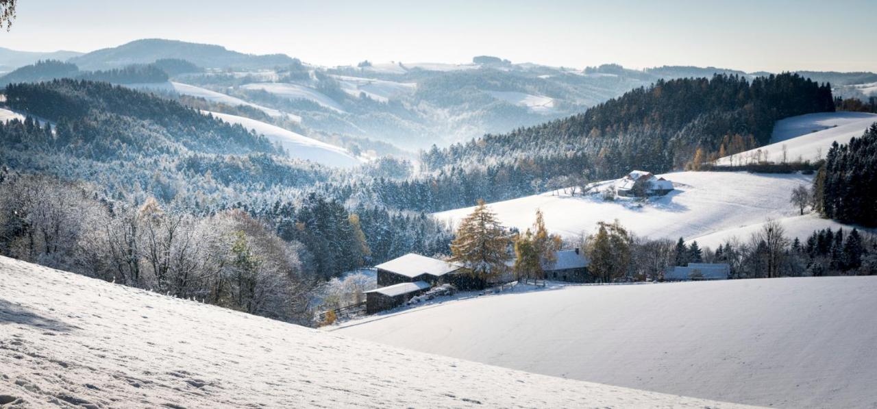 Vitalzeit Hotel Weber Bad Schönau エクステリア 写真